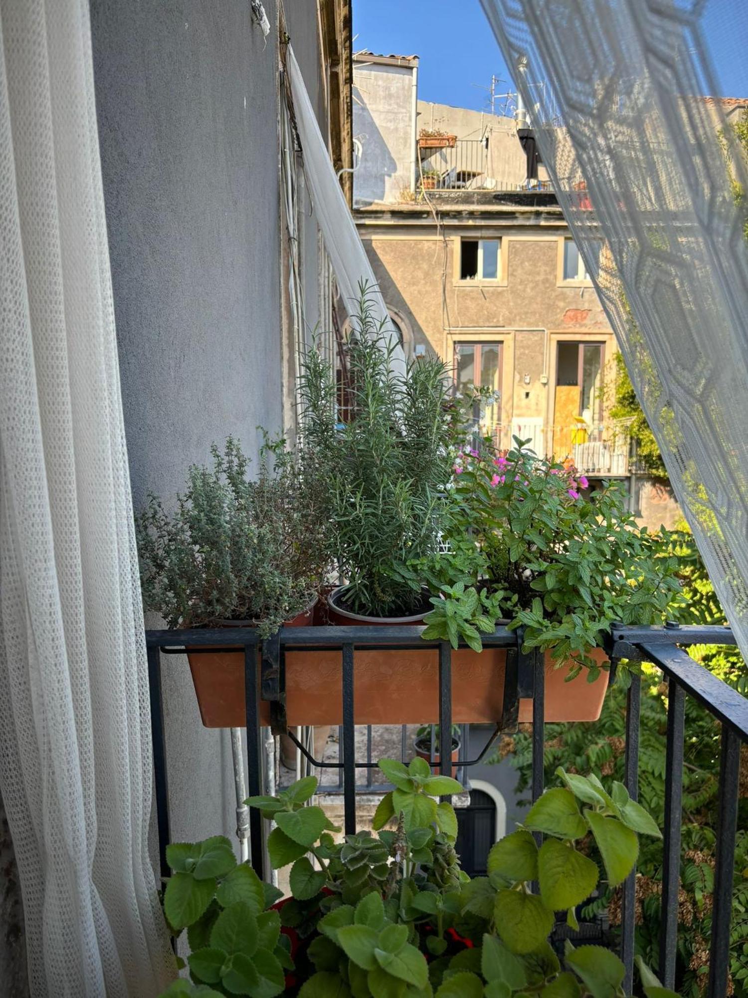 Apartment Zula Art Al Duomo